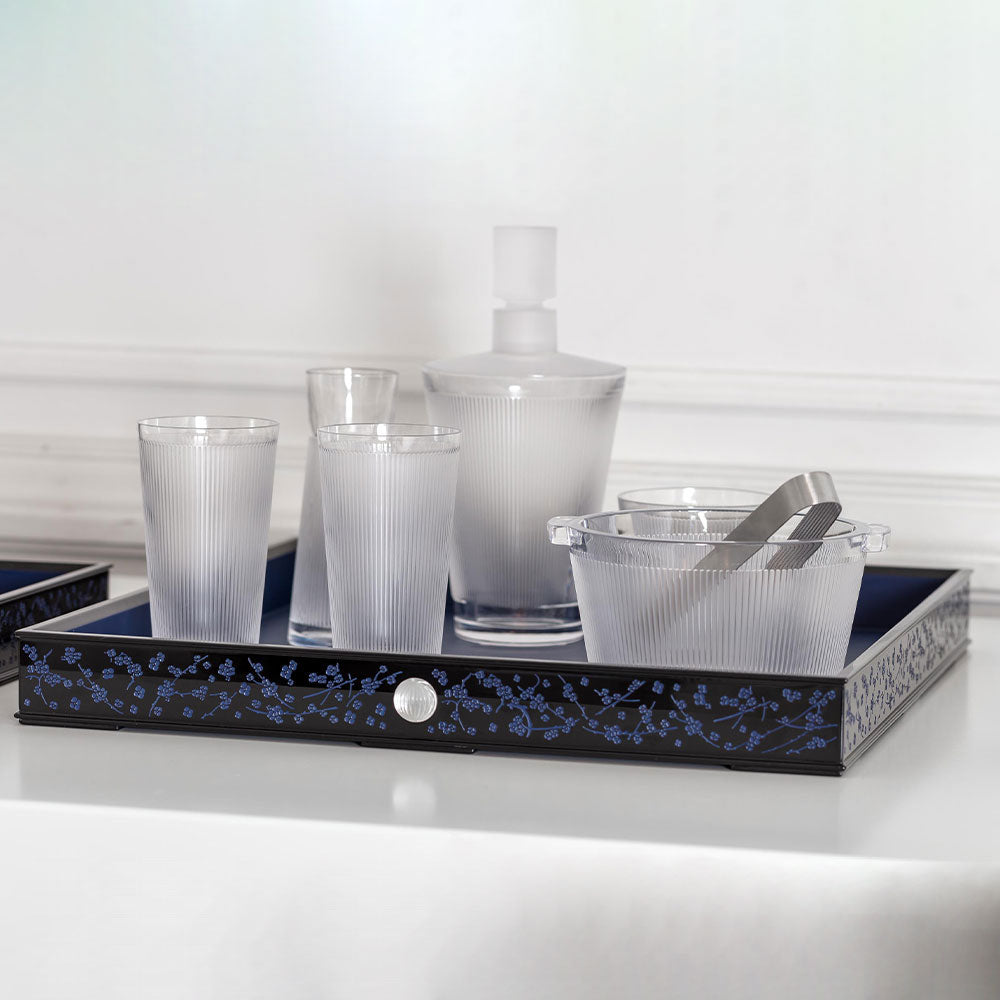 Wingen water jug