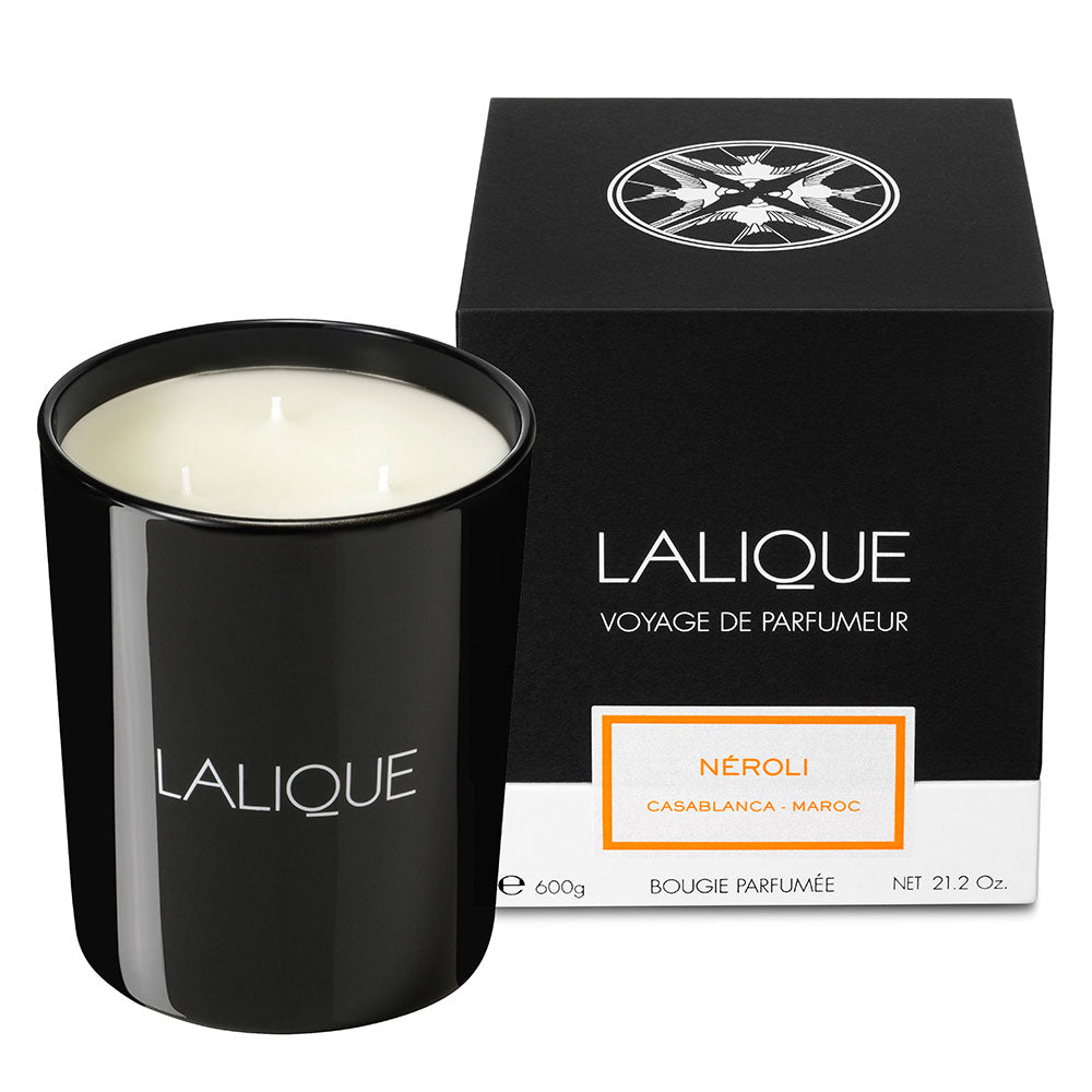 Néroli, Casablanca - Morocco, Scented Candle, 600g – Lalique Singapore