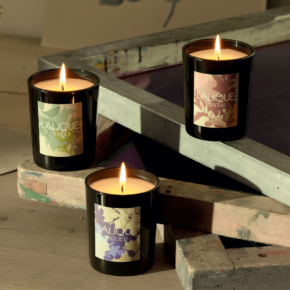 Sandalwood, Goa - India, Scented Candle 2025 Edition