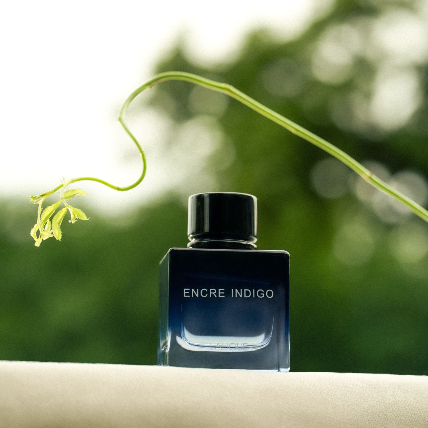 Encre Indigo, Eau de Parfum