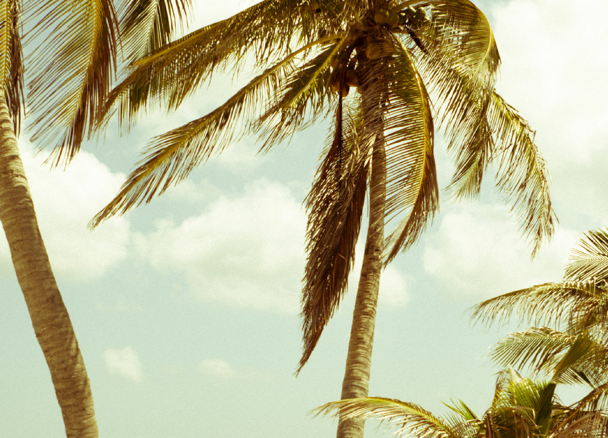 66_inspiration_image.jpg