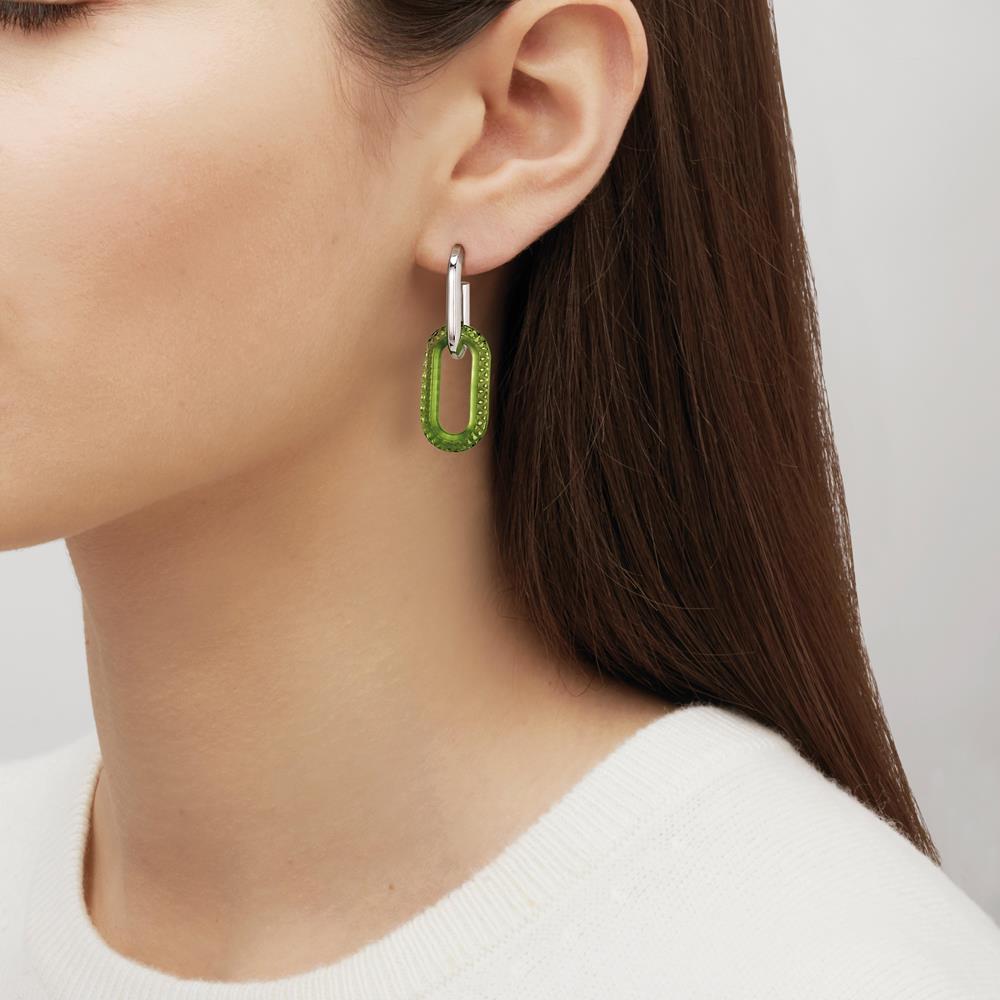 Empreinte animale earrings