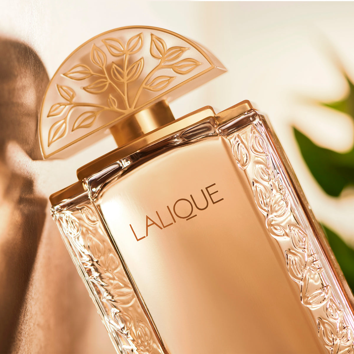 Lalique de Lalique, Eau de Parfum