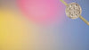 13395.mp4